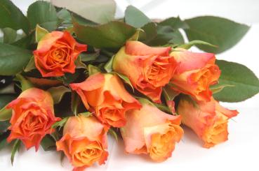 Rose MARIYO